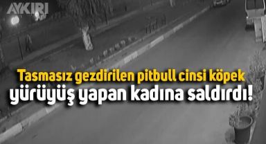 Aydın'da parkta yürüyen kadının başına geldi: 