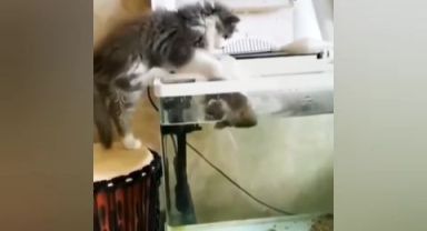 Böylesi ilk kez oluyor: 