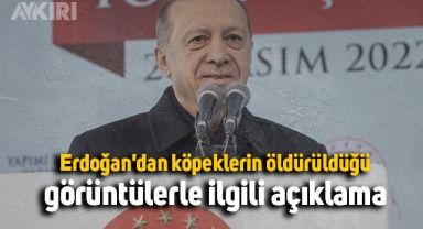 Cumhurbaşkanı Erdoğan'dan Konya'da hayvan bakımevinde yaşanan olayla ilgili açıklama