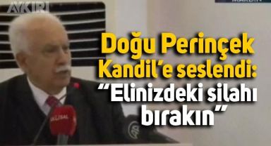 Doğu Perinçek Kandil'e seslendi: 