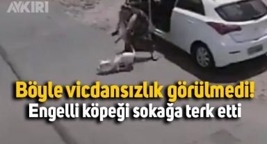 Engelli köpeğini böyle terk etti