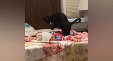 Evin kedisi, küçük bebeği masaj yaparak uyuttu