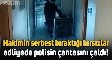 Hakimin serbest bıraktığı hırsızlar, adliyede polisin çantasını çaldı