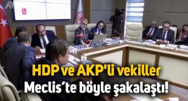 HDP ve AKP'li vekillerin şakalaştıkları anlar kameralara böyle yansıdı
