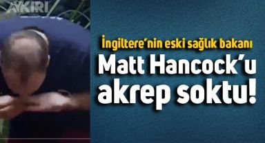 İngiltere'nin eski sağlık bakanı Matt Hancock'u odun toplarken akrep soktu