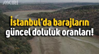 İstanbul'daki barajların doluluk oranında son durum
