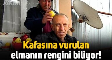 Kafasına vurulan elmanın rengini bilen adam viral oldu