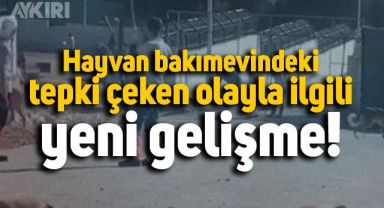 Konya'da bulunan hayvan bakımevindeki olayla ilgili iki kişi tutuklandı