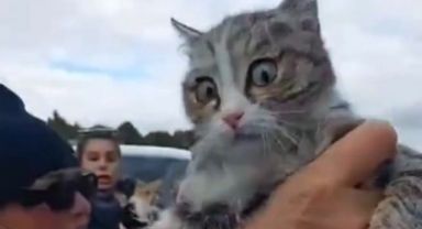 Konya'daki skandal olayda poşetten çıkarılmıştı: 