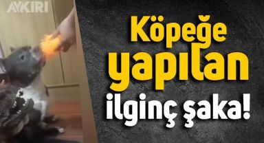 Böyle şaka olmaz dediler, 