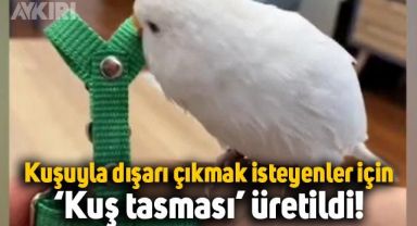 Kuşlarıyla dışarı çıkmak isteyenler için kuş tasması üretildi