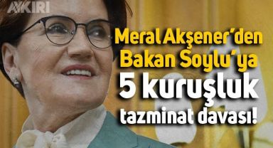 Meral Akşener'den Süleyman Soylu'ya 5 kuruşluk dava