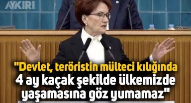 Meral Akşener: 
