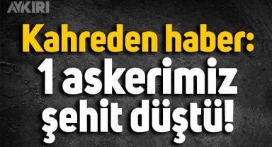 Milli Savunma Bakanlığı kahreden haberi paylaştı: 1 askerimiz şehit