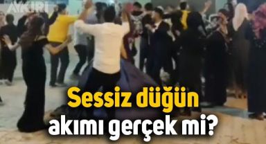 Sessiz düğün akımının gerçeği yansıtmadığı ortaya çıktı