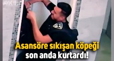 Tasması asansör kapısına sıkışan köpeği polis son anda kurtardı