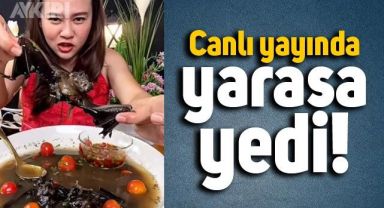 Tayland'da bir sosyal medya yayıncısı canlı yayında yarasa yedi