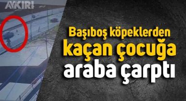 Tekirdağ'da köpeklerden kaçan çocuğa araba çarptı