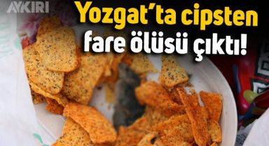 Yozgat'ta cips paketinden fare ölüsü çıktı