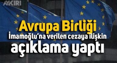 AB'den İmamoğlu'na verilen hapis cezasına ilişkin açıklama