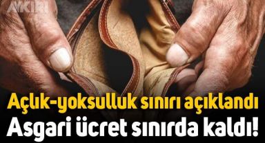 Aralık ayı açlık ve yoksulluk sınırı belli oldu: Yeni asgari ücret sınırda kaldı