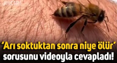 Arıcılık yapan vatandaş