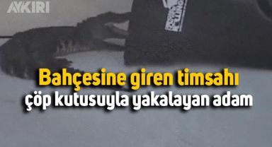 Bahçesine giren timsahı çöp kutusuyla yakalayan adam