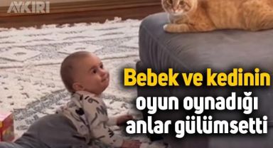 Bebek ve kedinin oyun oynadığı anlar izleyenleri gülümsetti