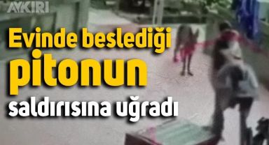 Evde beslenen piton ortalığı karıştırdı