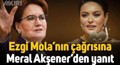 Ezgi Mola'nın Altın Kelebek'teki çağrısına Meral Akşener'den yanıt
