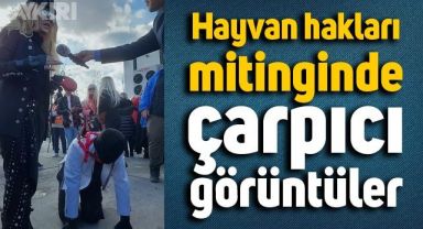 Hayvan hakları mitinginde çarpıcı görüntüler