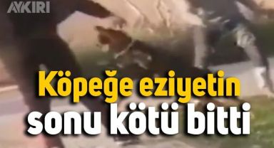 Hayvana eziyet ediyordu sonu kötü bitti