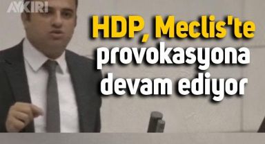 HDP'den Meclis'te 'Kürtçe' provokasyonu