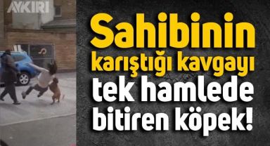 İnsandan daha olgun!