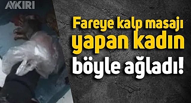 İzmir'de lağım faresine kalp masajı yapan kız göz yaşlarına engel olamadı