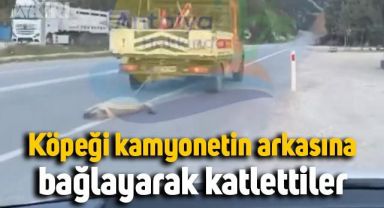 Karayolu aracının arkasına köpeği bağladılar
