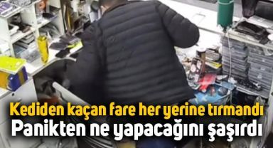 Kediden kaçan fare her yerine tırmandı, tamirci ne yapacağını şaşırdı