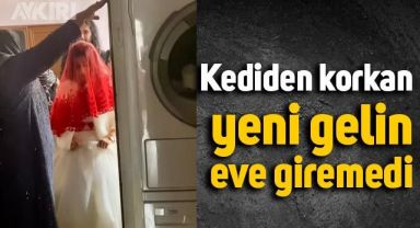 Kediden korkan yeni gelin, eve giremedi