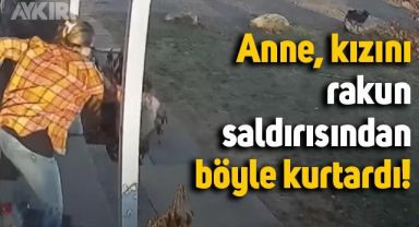 Kızına saldıran rakunu boynundan tuttu uzağa fırlattı