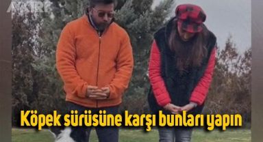 Videoda gösterdi: Köpek sürüsüne karşı bunları yapın
