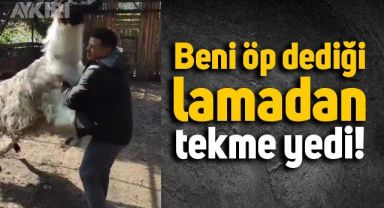 Lamadan tekme yiyen adam