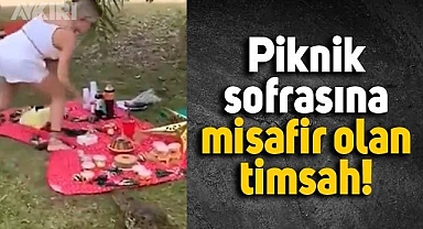 Piknikçilerin sofrasını ziyaret eden timsah