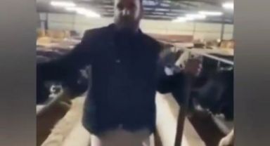 Sakaryalı besici, peynir fiyatlarına isyan etti: 