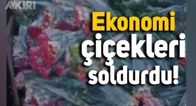Satılmaya hazır yüzlerce demet çiçeğin çöpe atıldığı anlar