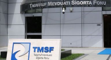 TMSF iki şirketi daha satışa çıkardı