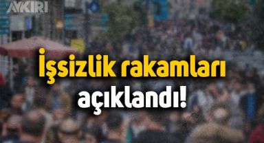 TÜİK açıkladı: İşsizlik rakamları belli oldu