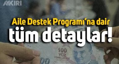 Türkiye Aile Destek Programı'na kimler başvurabilir? Aile Destek Programı başvuru ekranı