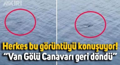 Van bu görüntüyü konuşuyor: