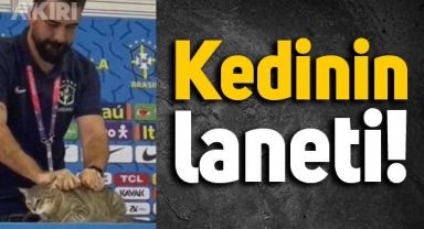 Vinicius Junior'ın basın toplantısında tercümanın yere fırlattığı kedi, sosyal medyada gündem oldu