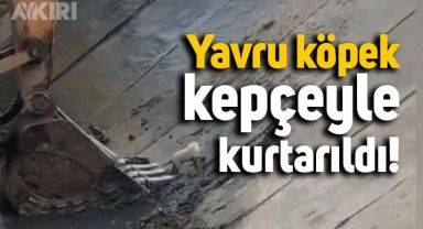 Yavru köpeğin kepçeyle kurtarıldığı anlar